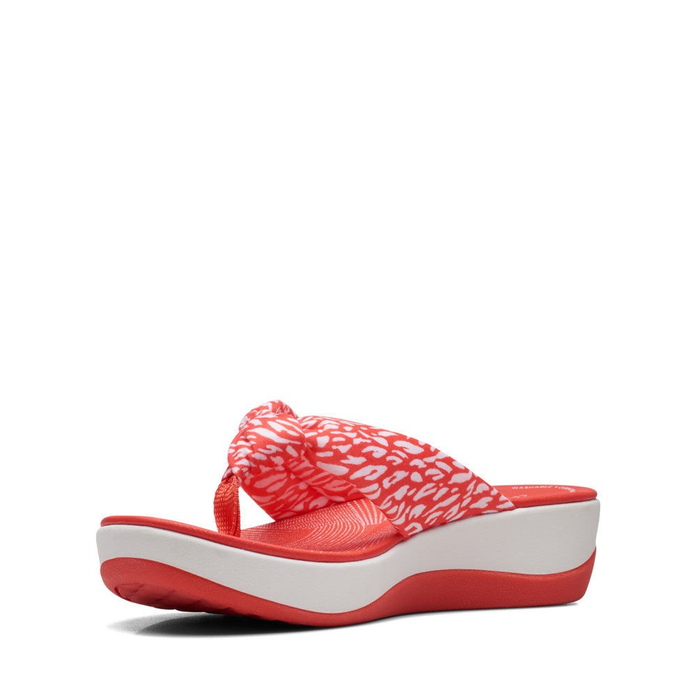 Cloudsteppers Arla Glison 2