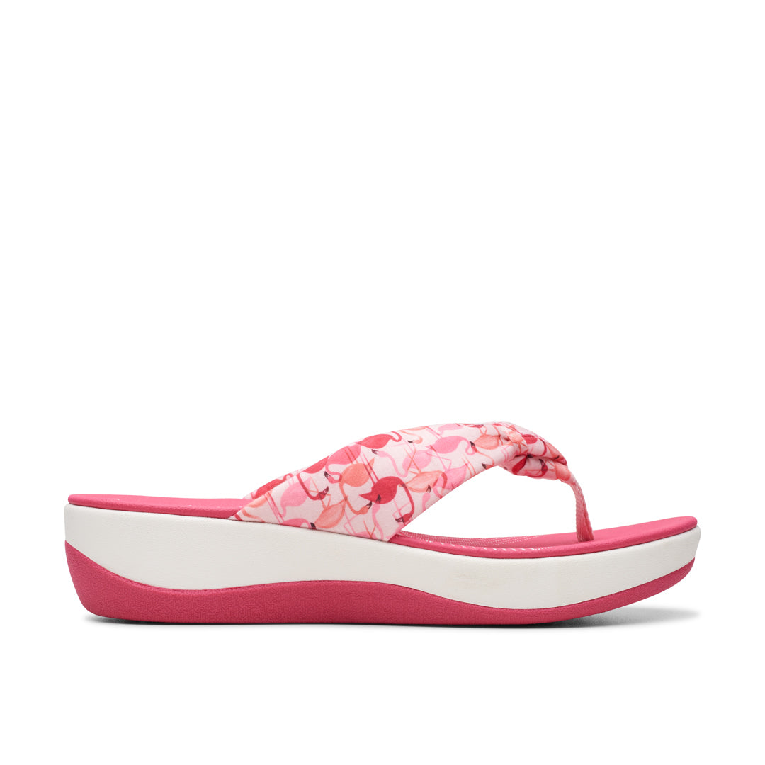 Cloudsteppers Arla Glison 2