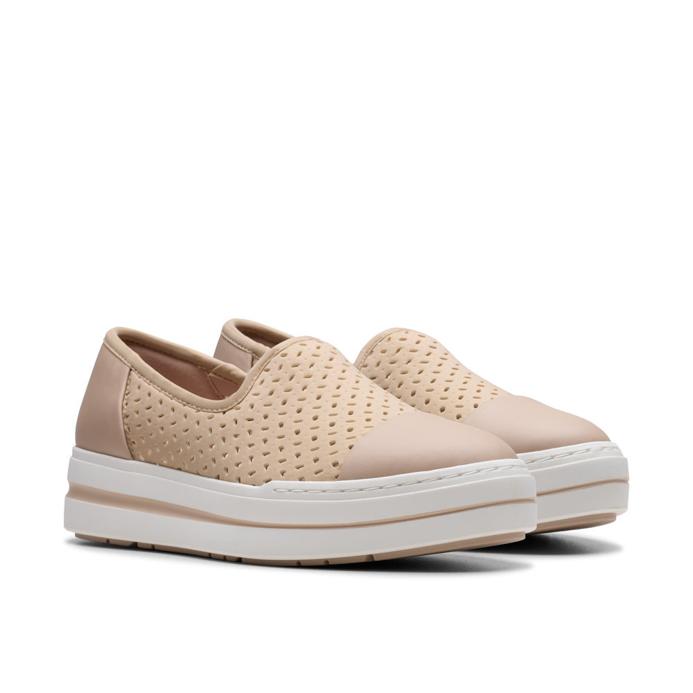 Cloudsteppers Audreigh Star