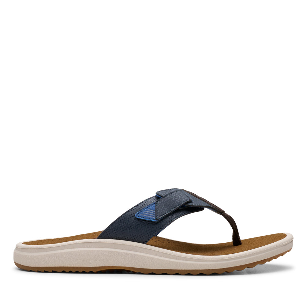 Cloudsteppers M Brinkley