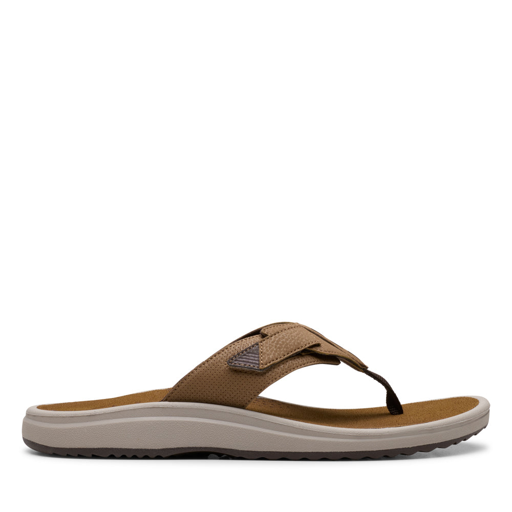 Cloudsteppers M Brinkley