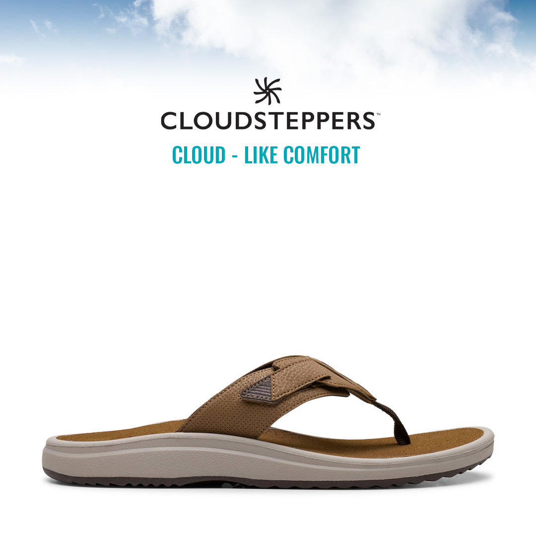 Cloudsteppers M Brinkley