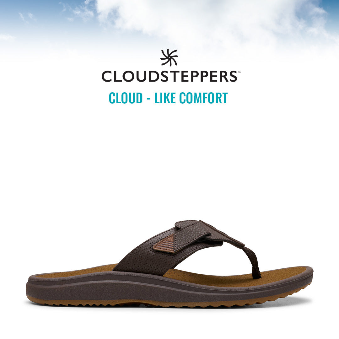 Cloudsteppers M Brinkley
