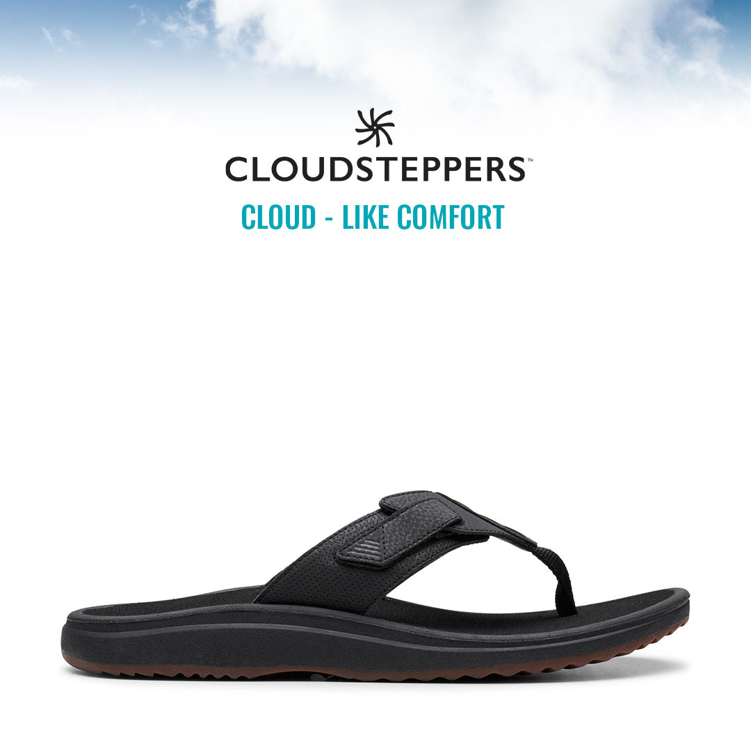 Cloudsteppers M Brinkley