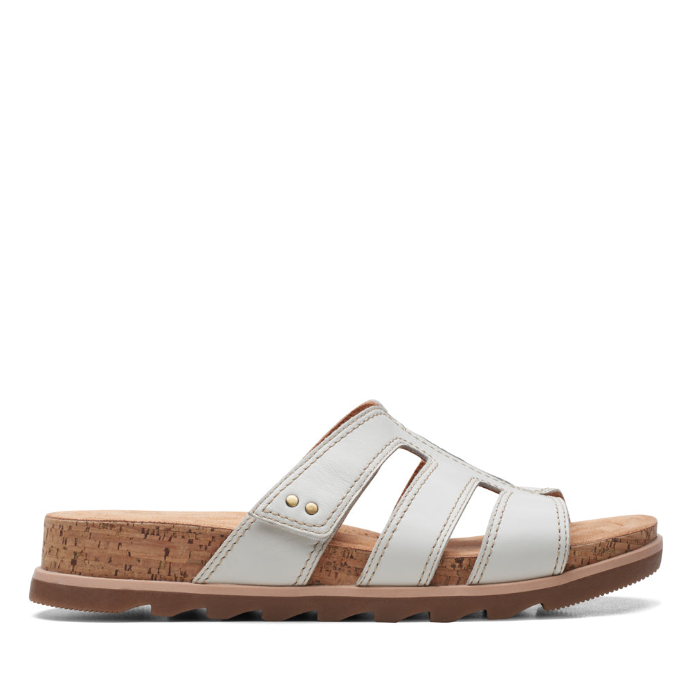 Yacht Coral