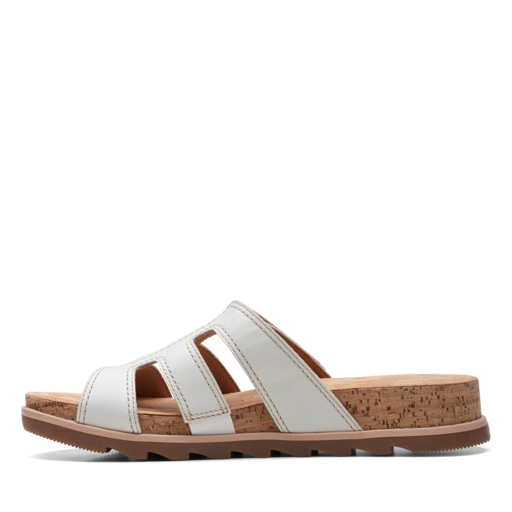 Yacht Coral