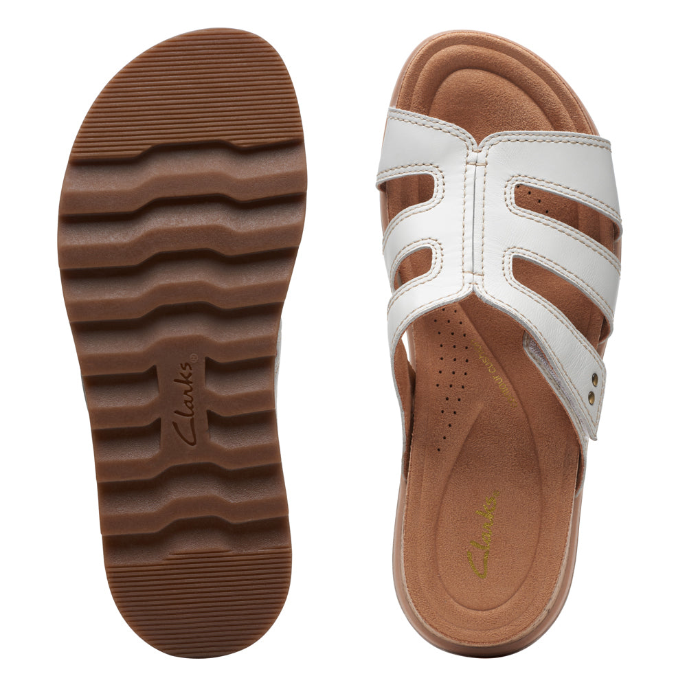 Yacht Coral