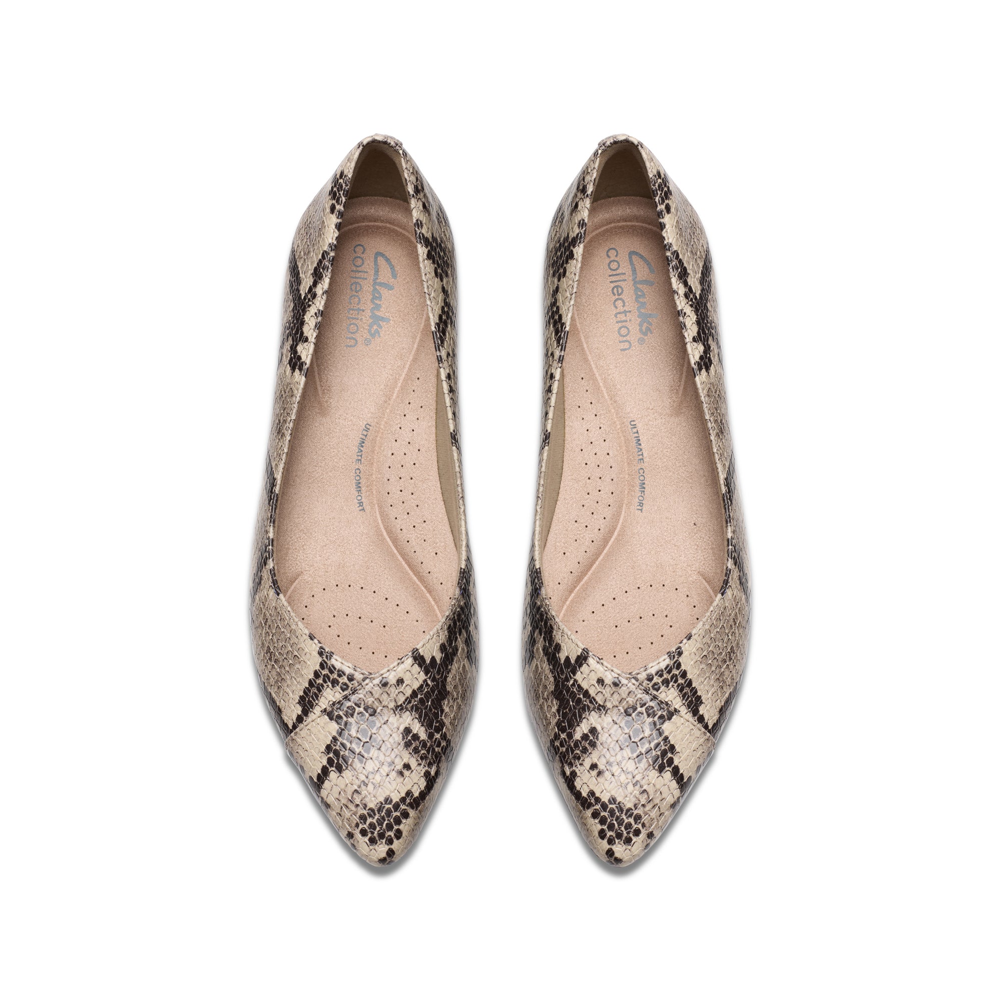 Clarks snakeskin flats best sale