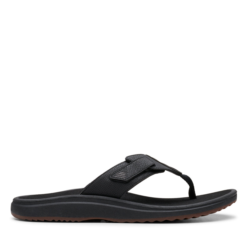 Cloudsteppers M Brinkley