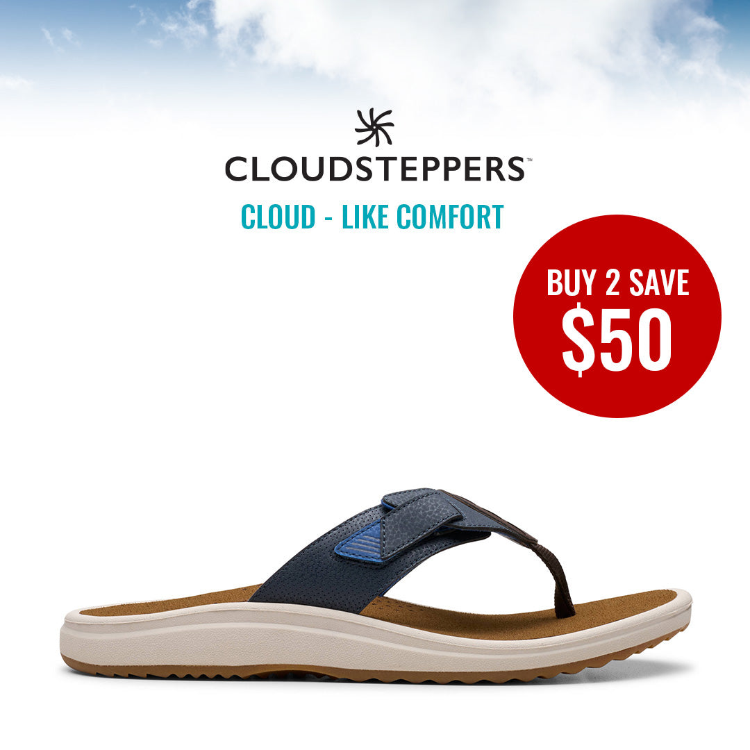 Cloudsteppers M Brinkley